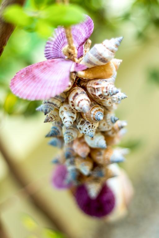 Chryssi Myhome カト・ダラトソ エクステリア 写真